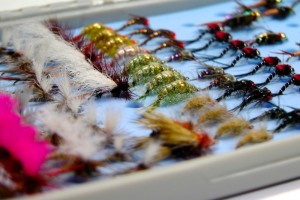 tackyflyfishdolomiti_3